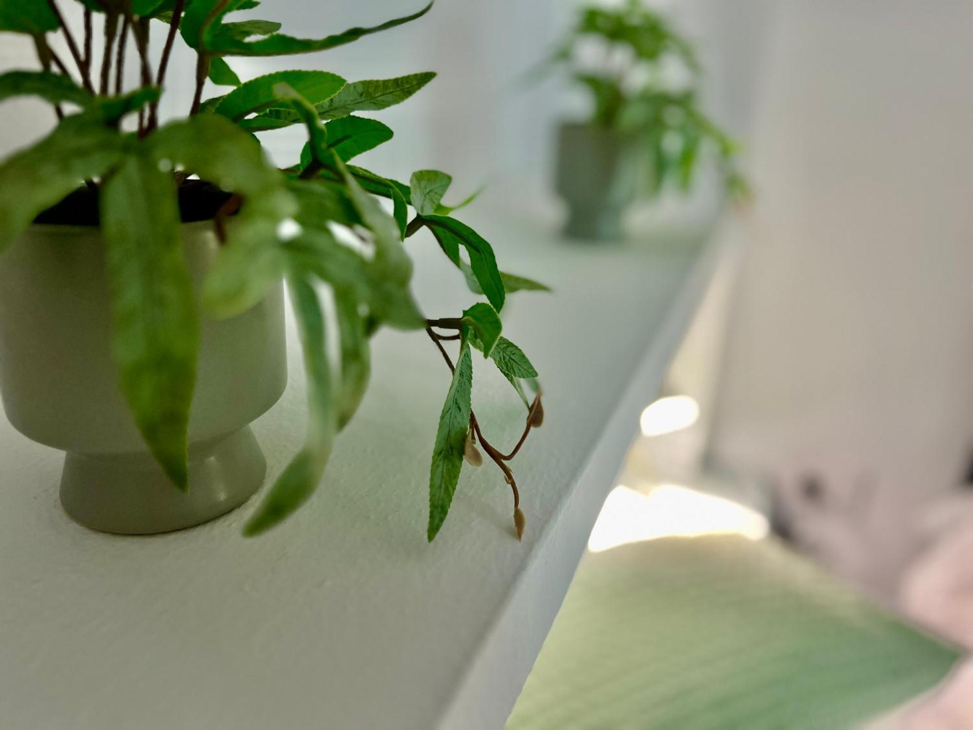 ホテル Balnea バイヨーナ 部屋 写真